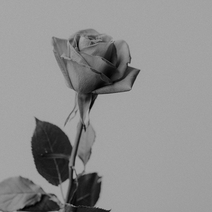 Kerze Trauer Kerze Trauer