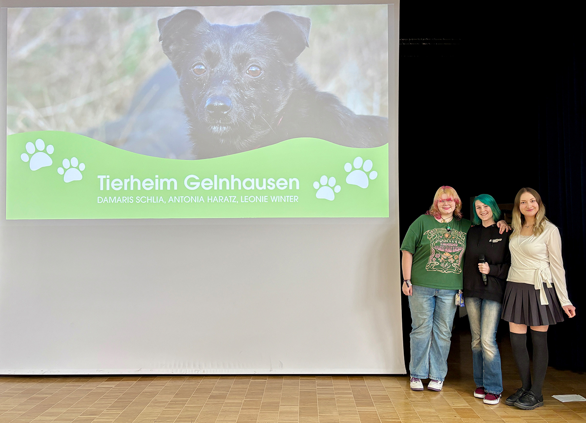 Berufliches Gymnasium Gestaltungs- und Medientechnik präsentiert Abschlussprojekte
